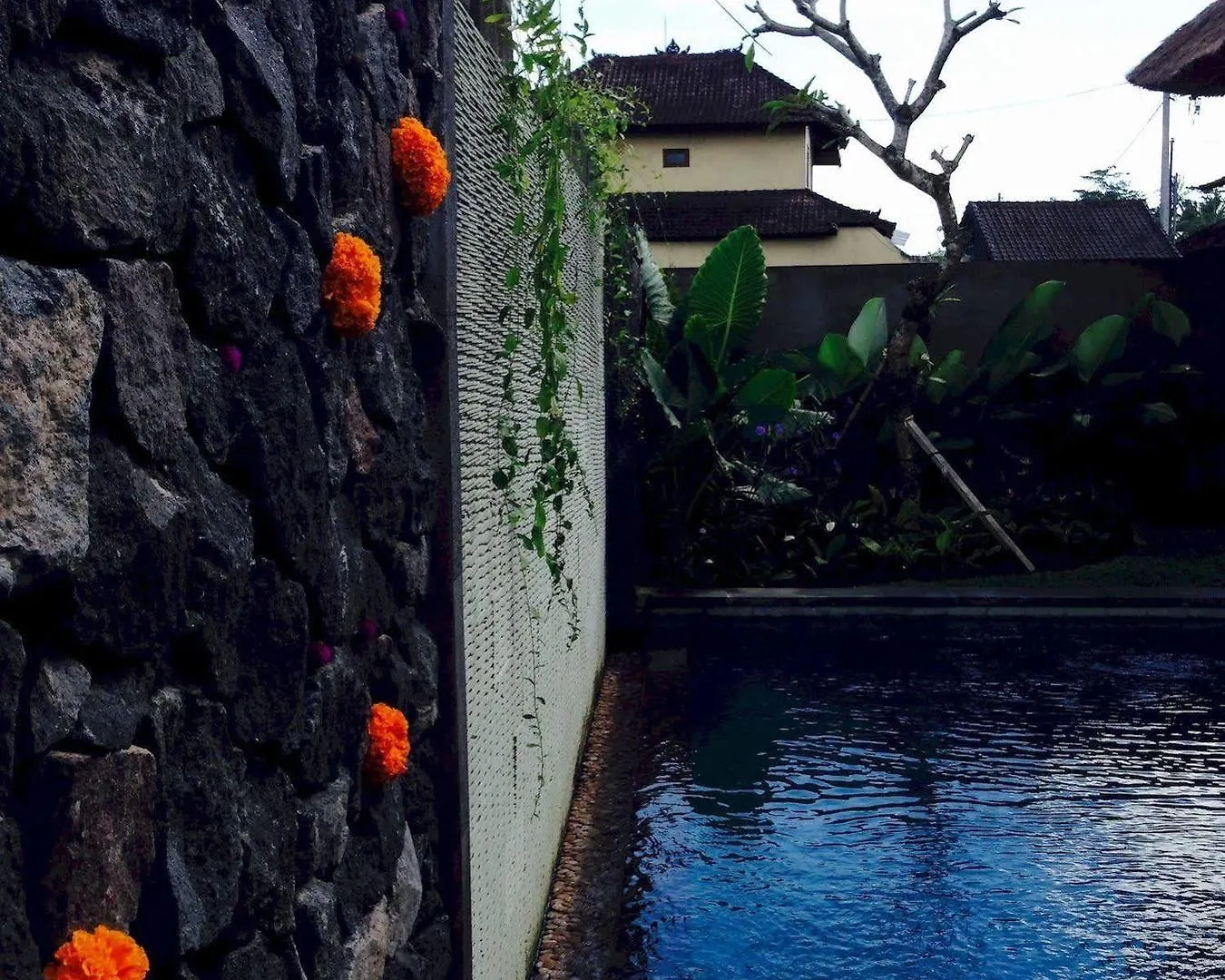 Rumah Dadong Ubud Vila