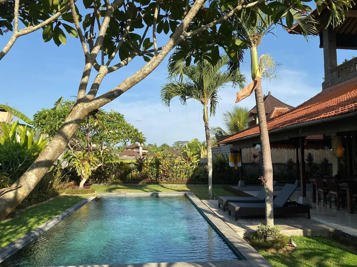kontakty Rumah Dadong