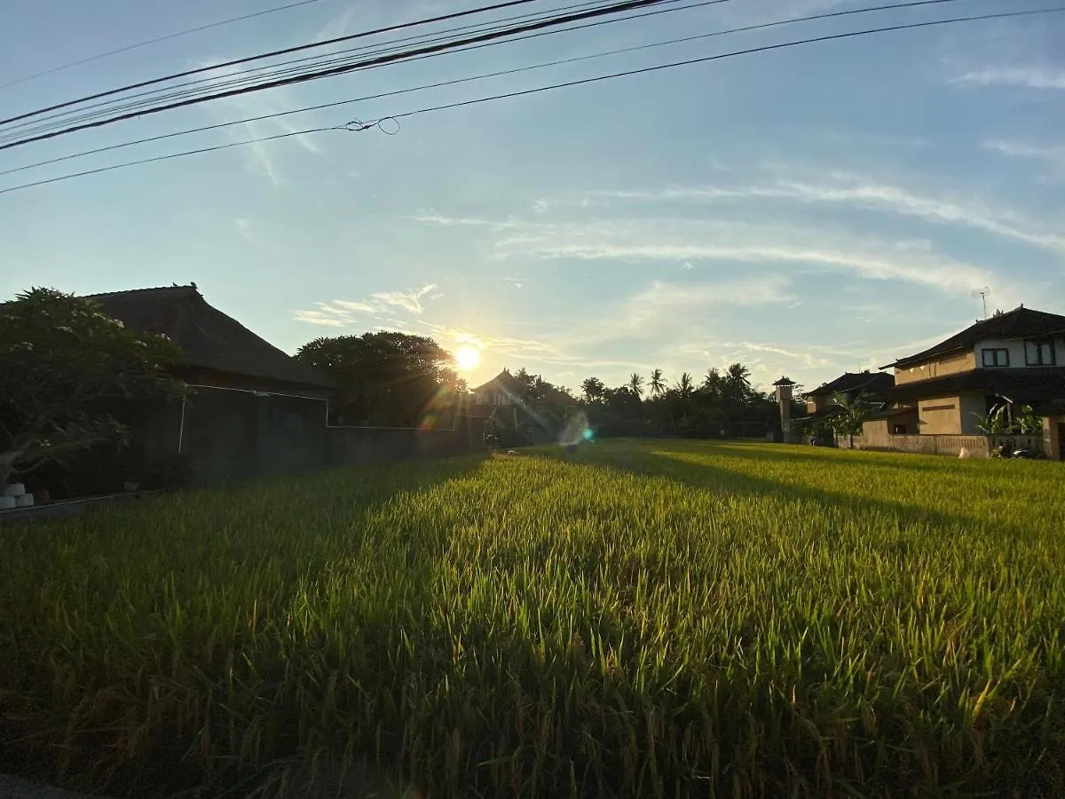 Rumah Dadong Ubud Vila