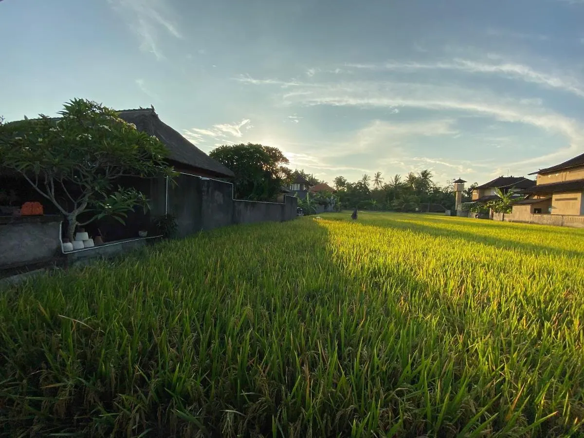 Rumah Dadong Ubud 0*,