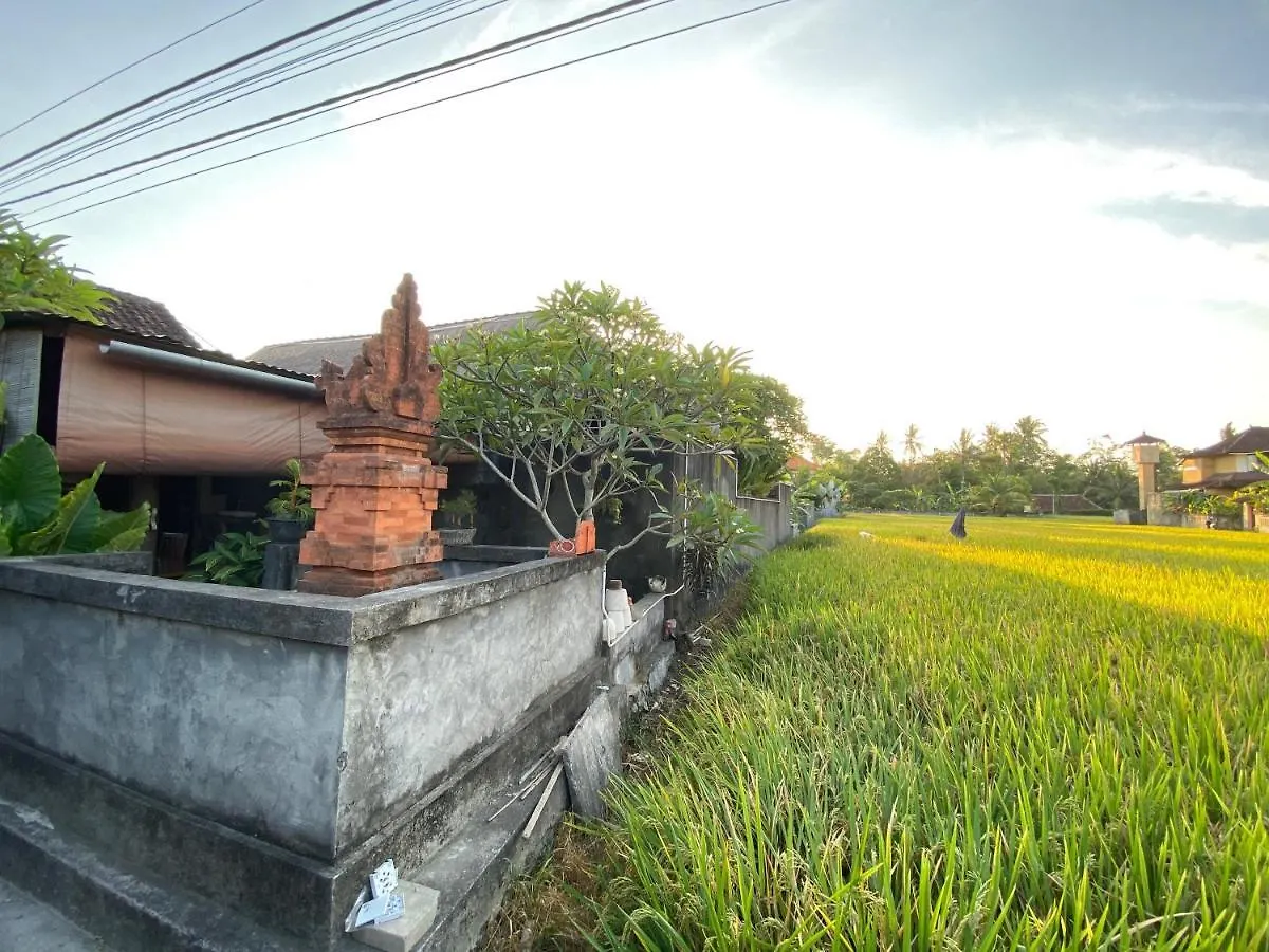 Rumah Dadong Ubud Vila