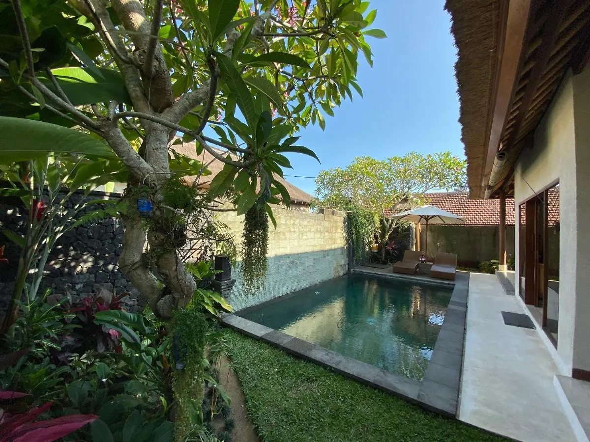 Vila Rumah Dadong Ubud